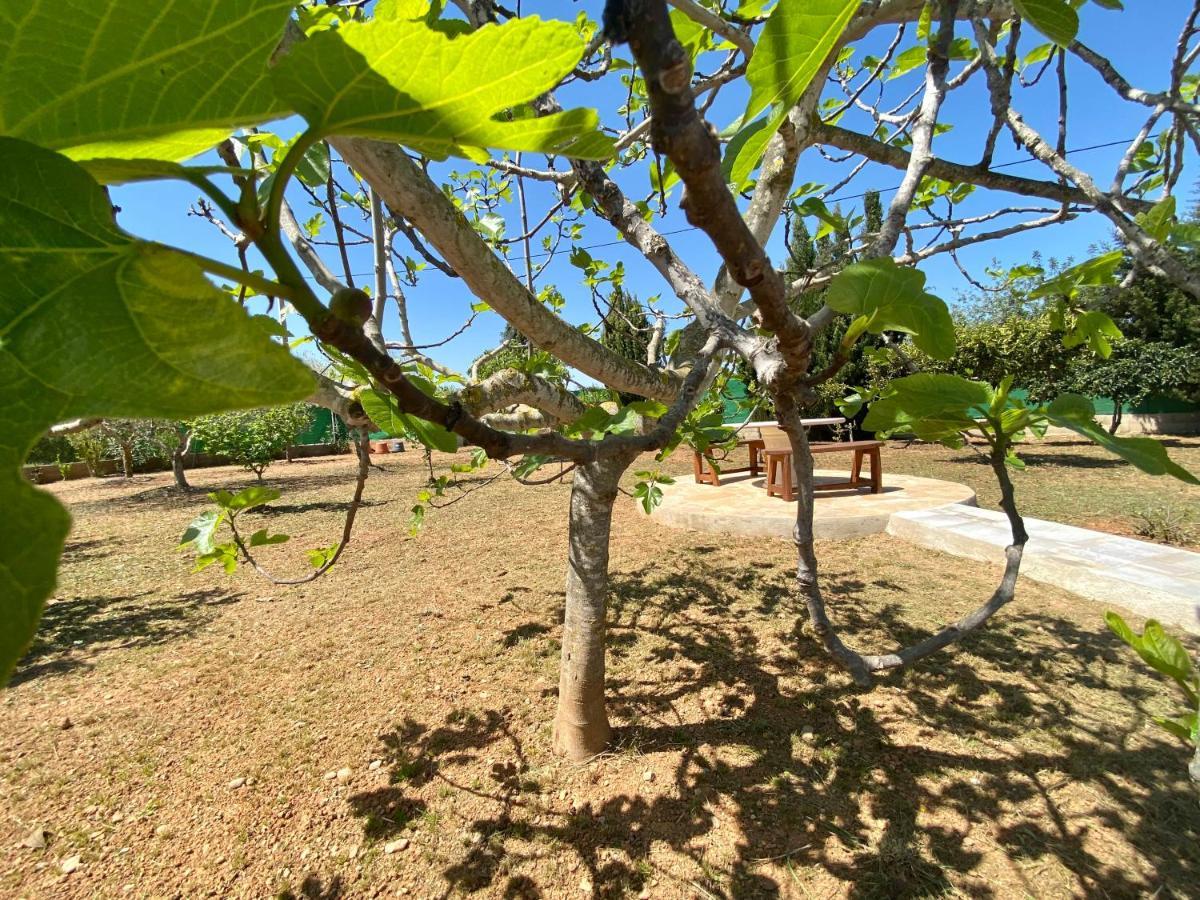 Casa Dominaty Bed & Breakfast Calig Luaran gambar