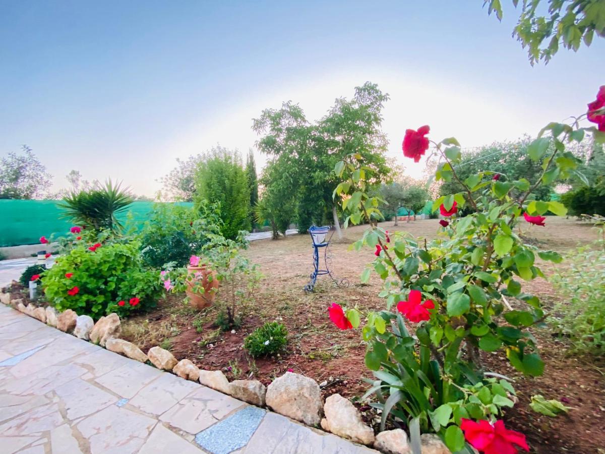 Casa Dominaty Bed & Breakfast Calig Luaran gambar